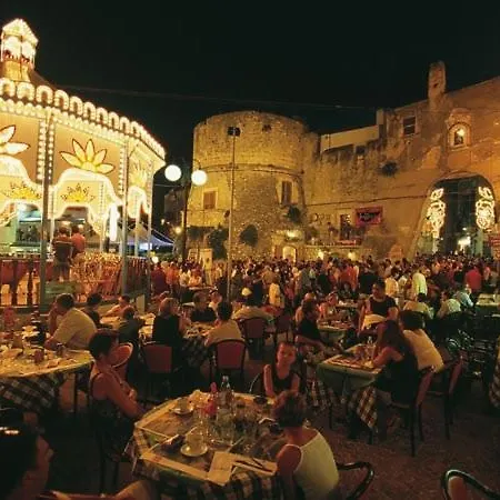 Rose Bed & Breakfast