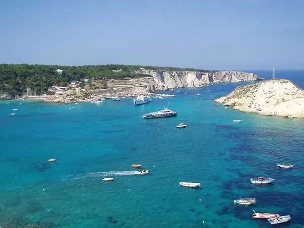 Rose 3* بيسْكيتْشّي