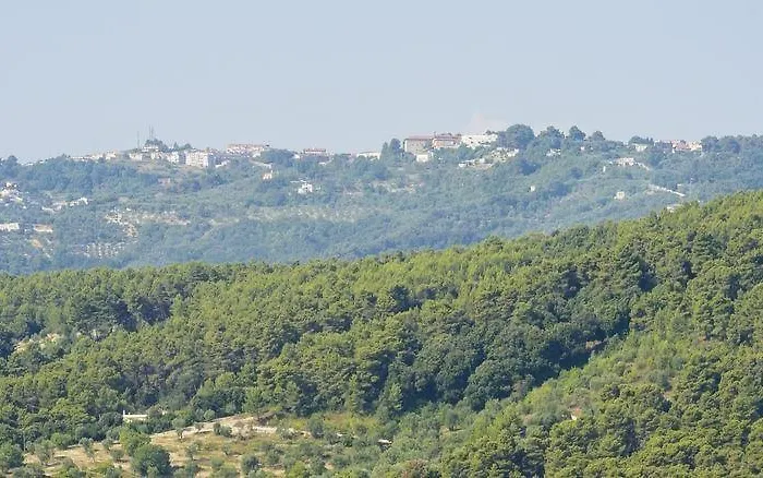 Rose فندق مبيت وإفطار